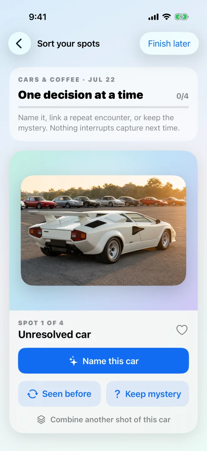 Review screen with options to name a car, link another sighting, or keep it as a mystery